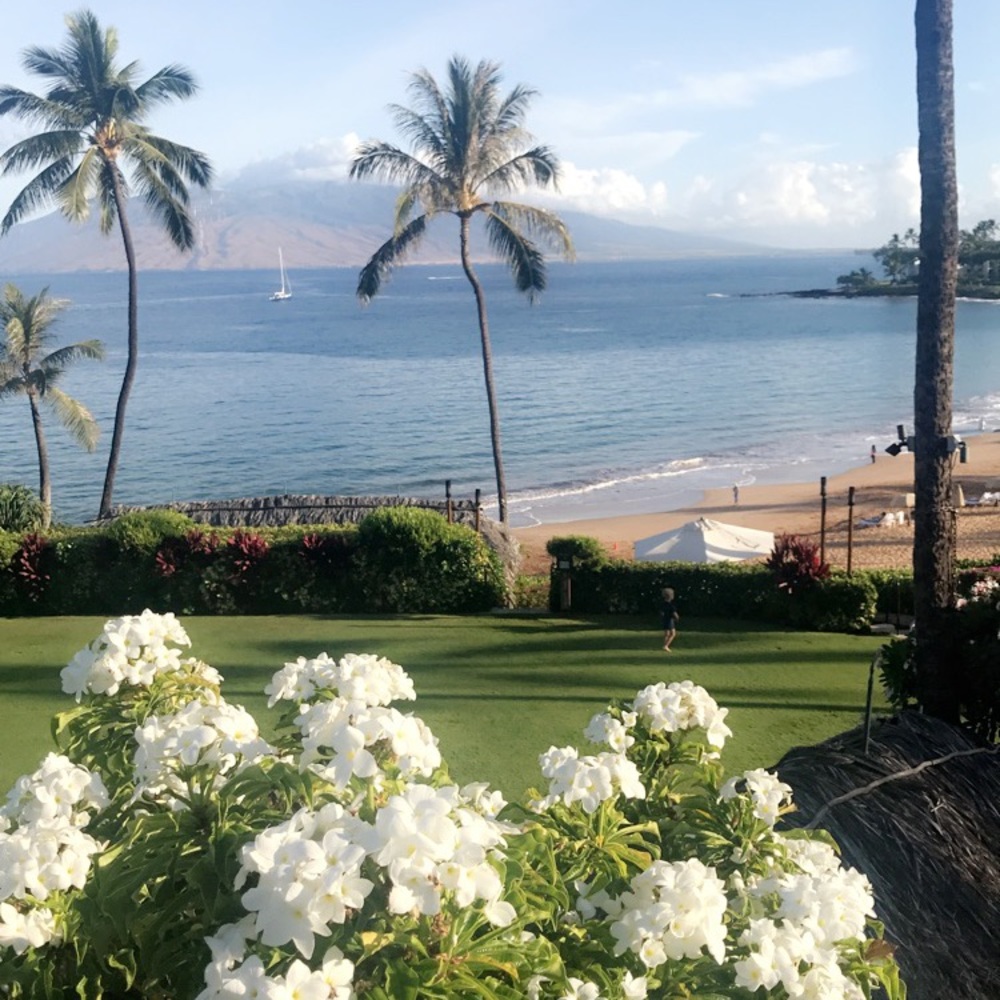 Meet your Posher, Alexa